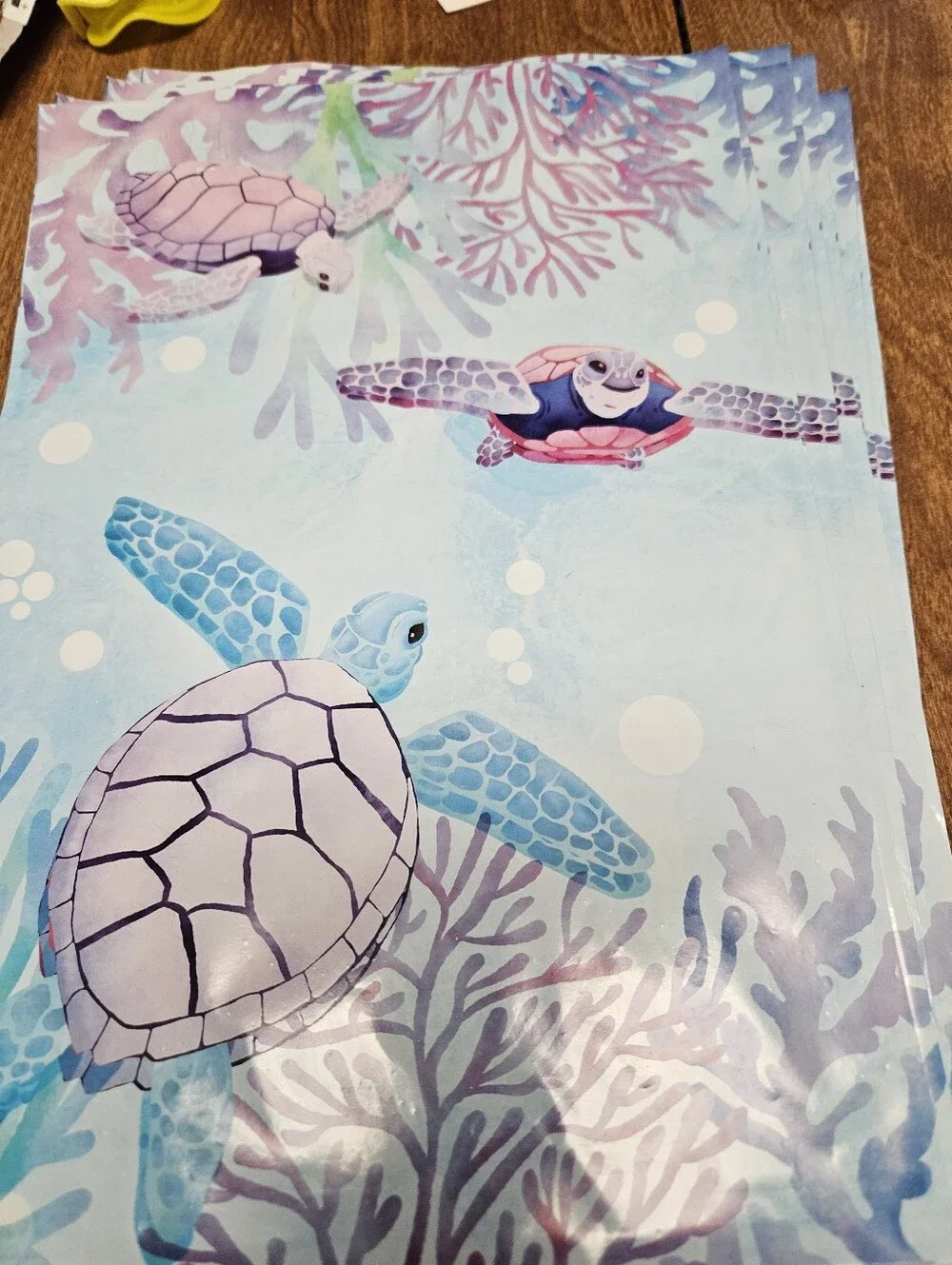 Turtle Polymailer Packages